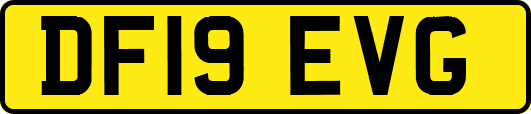 DF19EVG