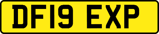 DF19EXP