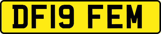 DF19FEM