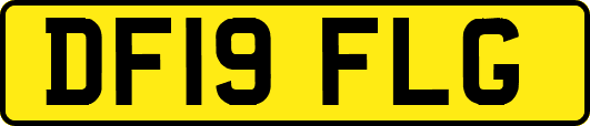 DF19FLG