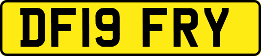DF19FRY