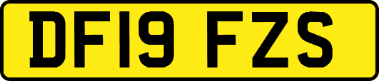 DF19FZS