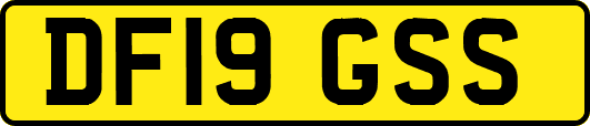 DF19GSS
