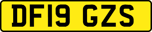 DF19GZS