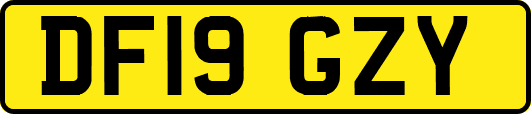 DF19GZY