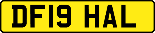 DF19HAL