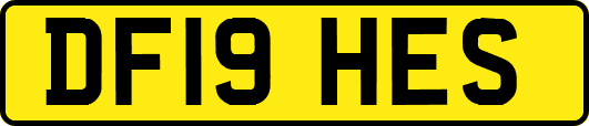 DF19HES
