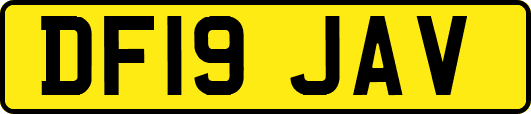 DF19JAV