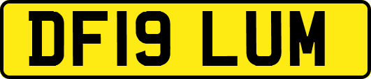 DF19LUM