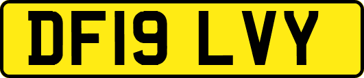 DF19LVY