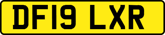 DF19LXR