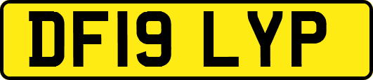DF19LYP