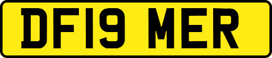 DF19MER