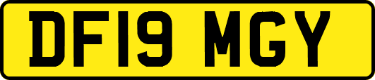 DF19MGY