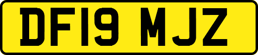 DF19MJZ