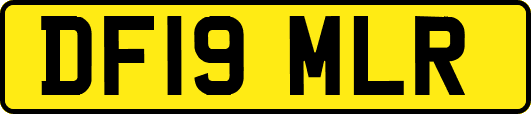 DF19MLR