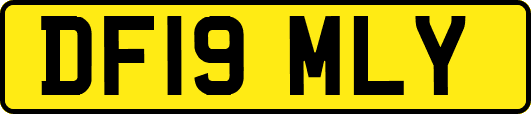 DF19MLY