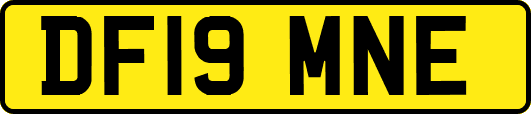 DF19MNE