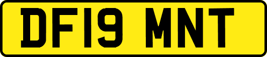 DF19MNT