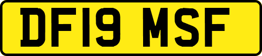 DF19MSF