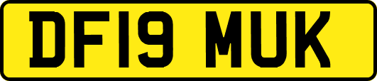 DF19MUK