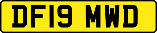 DF19MWD