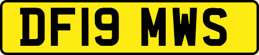 DF19MWS