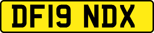 DF19NDX