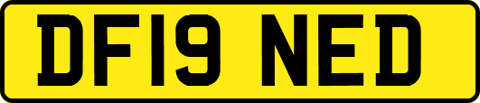 DF19NED