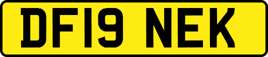DF19NEK