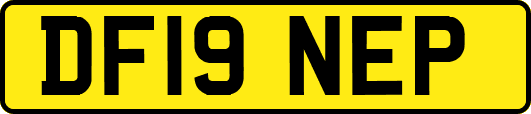 DF19NEP