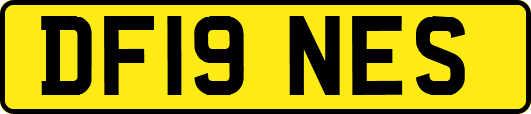 DF19NES