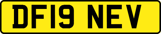 DF19NEV