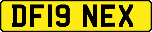 DF19NEX