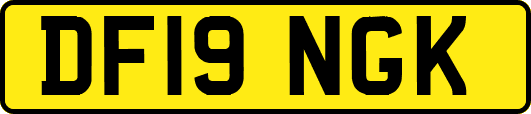 DF19NGK