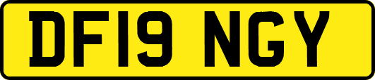 DF19NGY