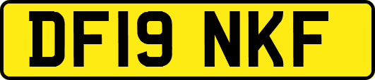 DF19NKF