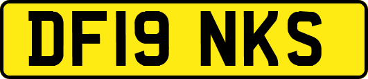 DF19NKS