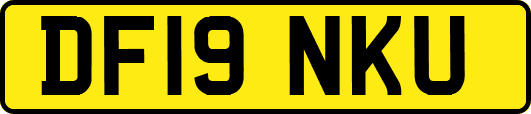 DF19NKU