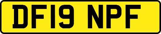 DF19NPF