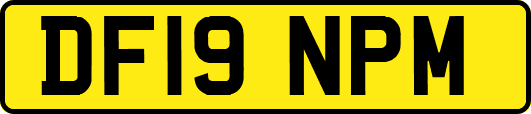 DF19NPM