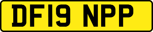 DF19NPP