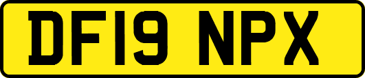 DF19NPX