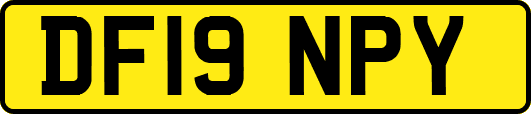 DF19NPY