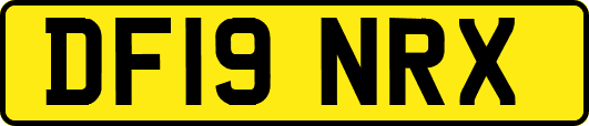 DF19NRX