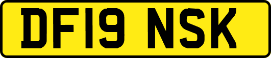 DF19NSK