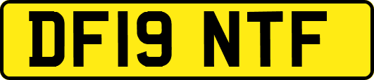 DF19NTF
