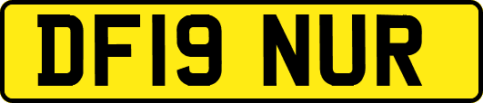 DF19NUR