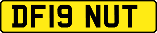 DF19NUT