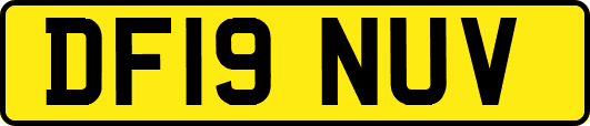 DF19NUV